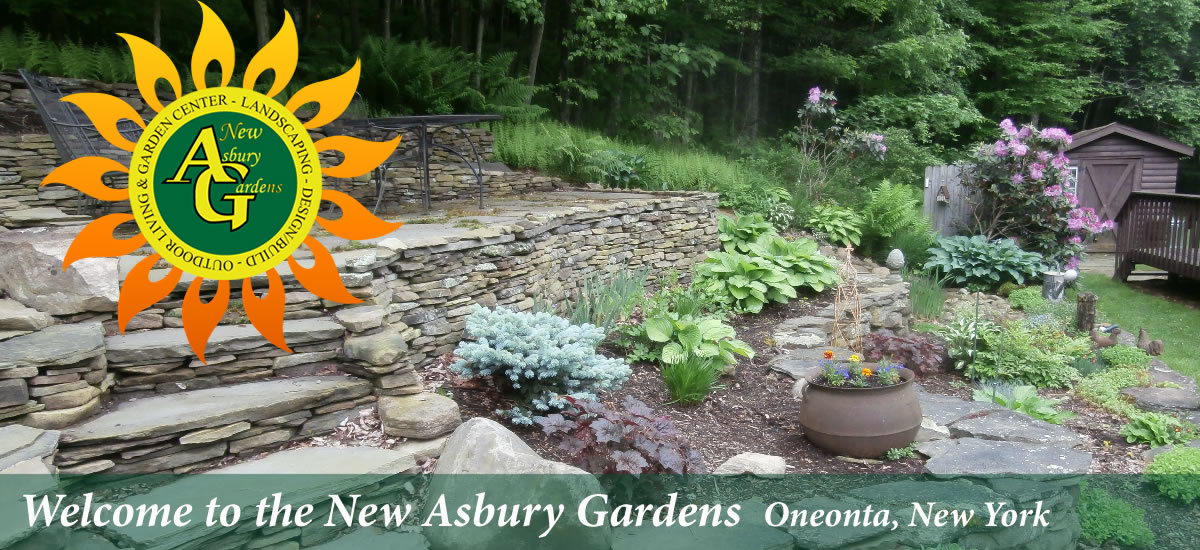 New Asbury Gardens
